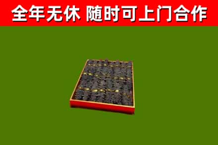 新洲烟酒回收海参.jpg